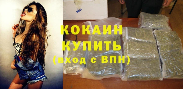 метадон Няндома