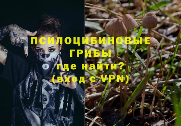 индика Алексеевка
