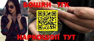 тгк Славгород