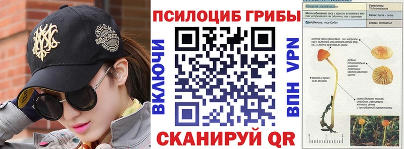 Псилоцибиновые грибы Magic Shrooms  цены   Арзамас 